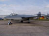 Hawker Seahawk
